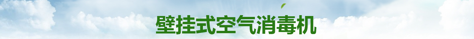 肯格王空气消毒机