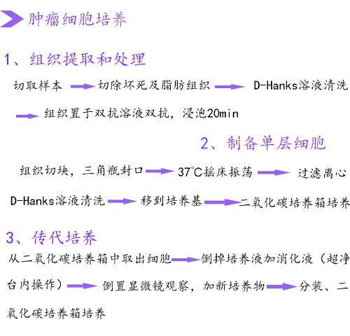细胞培养步骤.png