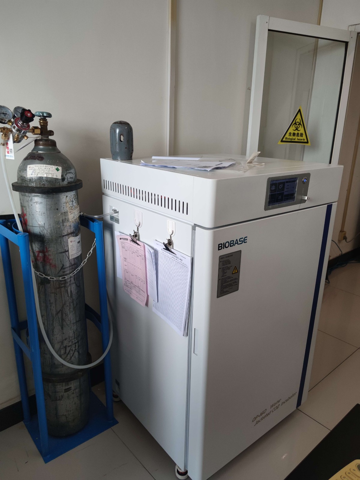 55555555555555555.jpg 55555555555555555.jpg